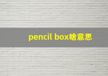 pencil box啥意思